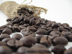 roasted-bulk-coffee-beans1-240w