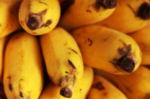 yellow-bananas-1