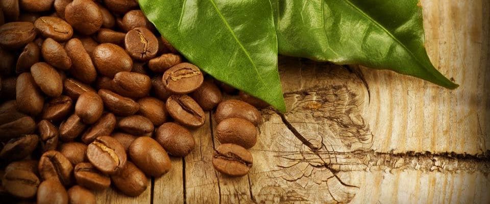 What Is Fair Trade Coffee?