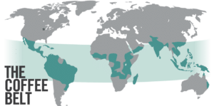 Coffee Belt and Coffee Regions